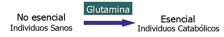 Disminución severa del pool de glutamina en las siguientes situaciones: Desnutrición Ejercicio