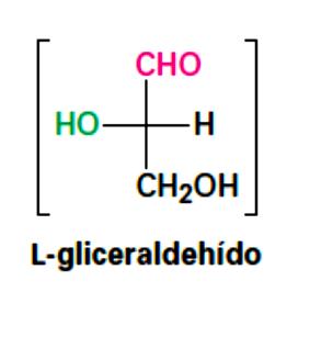 En las proyecciones de Fischer, el estado natural de los aminoácidos se representa al colocar el grupo CO 2 en la parte superior y la cadena lateral abajo,