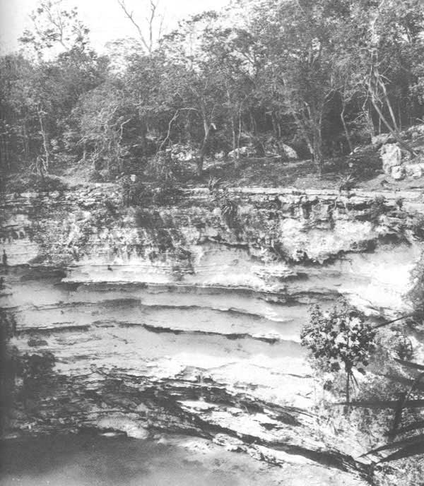 Figura 2. El Cenote Sagrado de Chichén Itzá en los Años Sesentas.