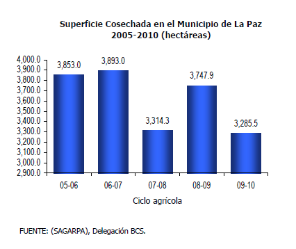 Como se observa en el cuadro destacan Todos Santos y El Centenario como las localidades más pobladas del municipio después de la ciudad capital, las cuales registran un crecimiento importante con