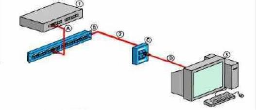 Cambios en la tecnología de los equipos de Telecomunicaciones Nueva Información: CABLEADO ESTRUCTURADO Cableado Estructurado es el cableado de un edificio o una serie de edificios que permite