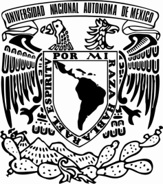 UNIVERSIDAD NACIONAL AUTÓNOMA DE MÉXICO FACULTAD DE MEDICINA DIVISIÓN DE ESTUDIOS DE POSGRADO E INVESTIGACIÓN INSTITUTO NACIONAL DE CANCEROLOGÍA CURSO DE