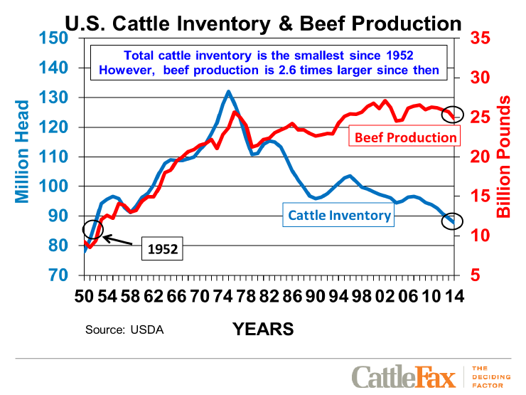 Vemos la tendencia, los números del ganado bovino han disminuido y la producción de carne de res ha aumentado y vamos a explicar a qué se debe todo esto.