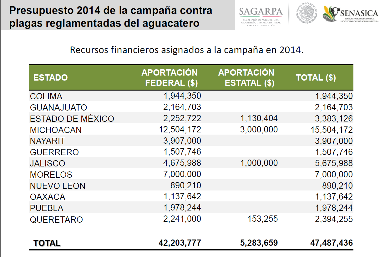Presupuesto Nacional para la Campaña Plagas Cuarentenarias del Aguacate 2013