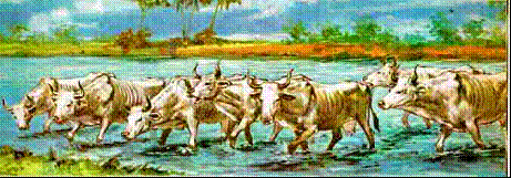 Historia de José y Faraón (Génesis 41) Faraón tuvo un sueño. Le parecía que estaba junto al río; y que del río subían siete vacas, hermosas a la vista, y muy gordas, y pacían en el prado.