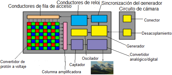Figura 2. Estructura de un sensor CCD (Charge Coupled Device) [8]. Por otro lado, en un sensor CMOS cada celda es independiente.
