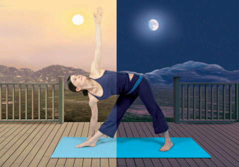 Yoga Yuj unión a través de un método Celda, claustro, fuerza.