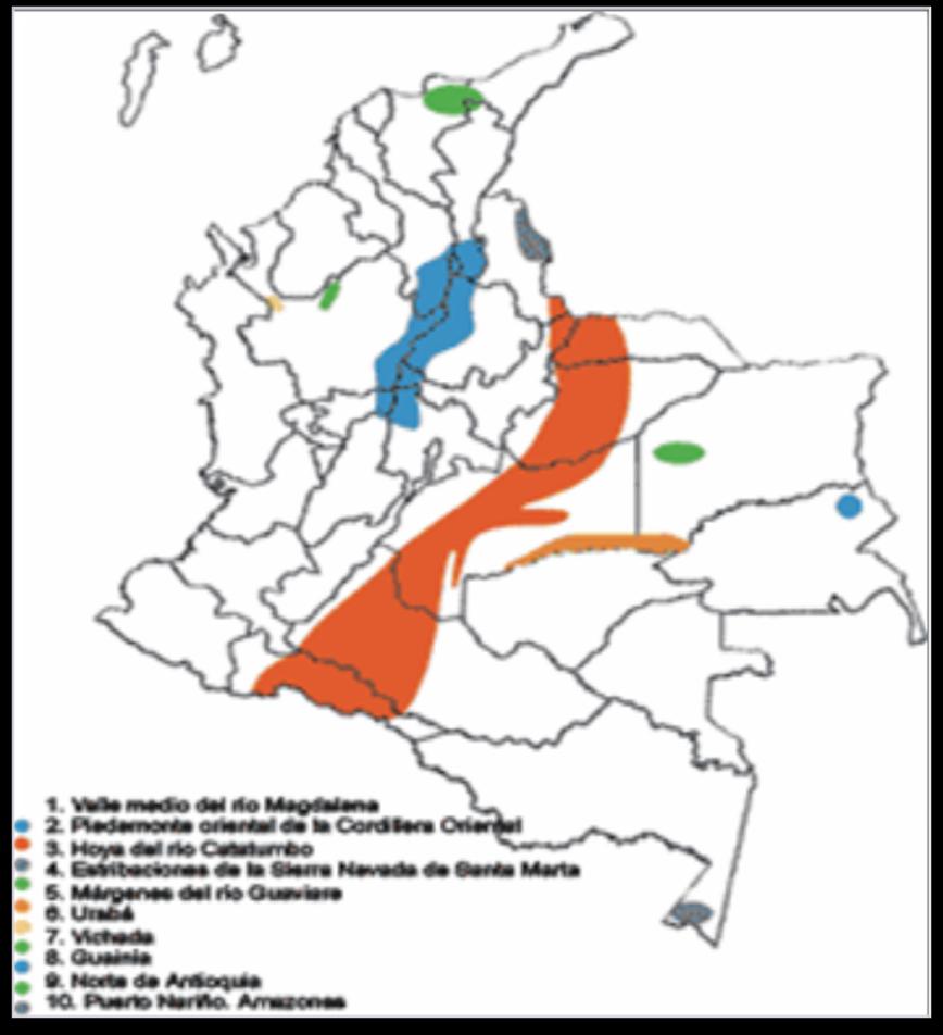 Zonas de riesgo en Colombia Zonas de riesgo en Colombia Las zonas de riesgo para fiebre amarilla establecidas en Colombia son Áreas especialmente selváticas del : Valle del río Magdalena, Pie de
