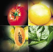 verduras, raíces y frutas introducían la variedad en la dieta monótona de la
