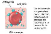 HERENCIA DEL GRUPO SANGUÍNEO AB0 Antígeno: sustancia (generalmente ajena al organismo) capaz de desencadenar una