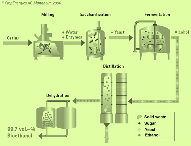 Si se utiliza el jugo para la producción de etanol este pasa a ser fermentado en una fermentadora donde se le adiciona una bacteria para acelerar la fermentación, después de ser fermentado pasa al