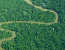 Sistema de Monitoreo de Bosques y Carbono Semestral Alertas Tempra nas Cada dos años Coordinado con propuesta Inventarios GEI.
