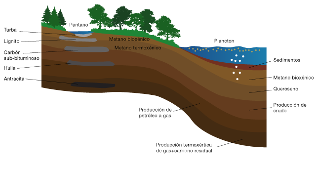 FÓSILES 5 El gas natural también procede de la transformación de la materia orgánica acumulada entre los sedimentos; suele encontrarse próximo a los yacimientos petrolíferos y/o de carbón o incluso