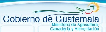 Boletín Mensual #11 Noviembre, 2015 Investigación para el desarrollo agrícola Gobiernos de Guatemala, Chile y PMA unen esfuerzos en proyecto Contra el Hambre y la Pobreza Impulsan cultivos