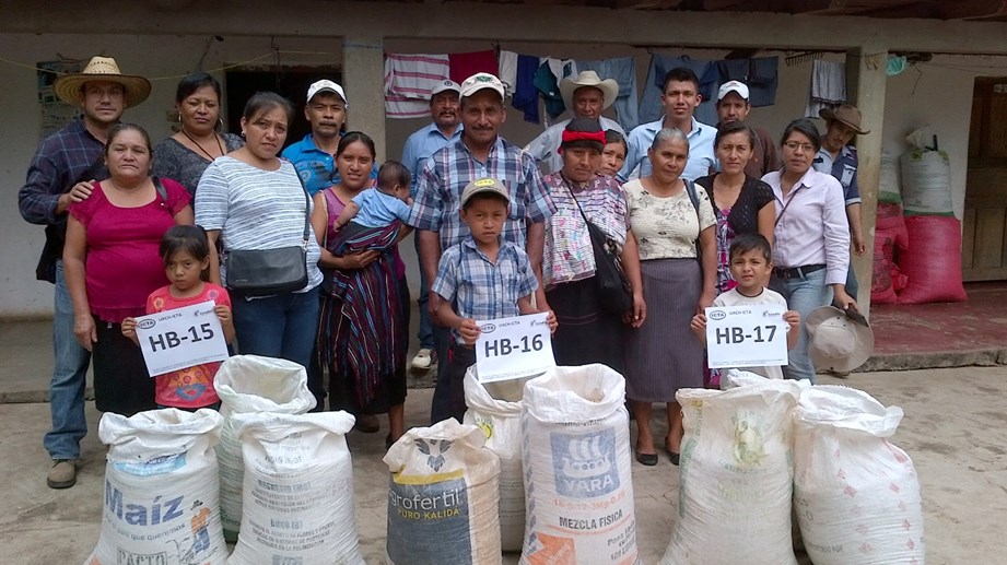 Agricultores y extensionistas intercambian conocimientos en nuevos híbridos de maíz tolerantes a Mancha de Asfalto Huehuetenango.