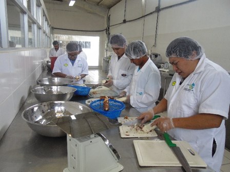 ICTA capacita en tecnología de alimentos Cultivo de moringa Preparación de salsas verdes La Alameda, Chimaltenango.