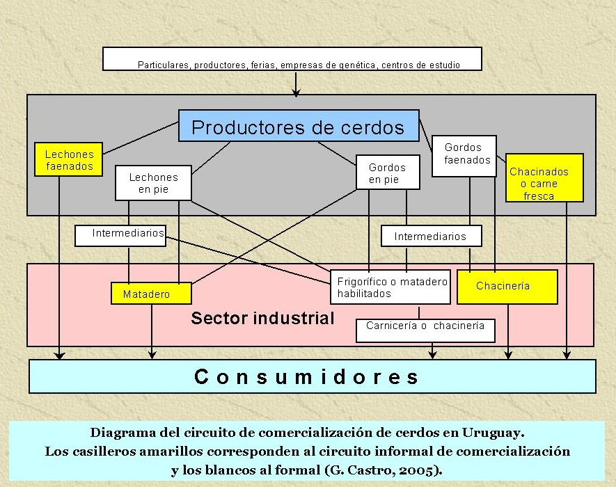 Cría de cerdos Flujograma del circuito para comercialización formal e informal. Fuente: Gustavo Castro, 2005. 1.3.9.