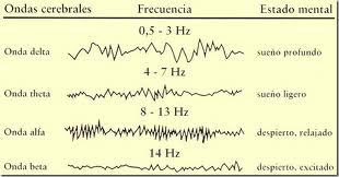 FASE 3 DEL SUEÑO. Fase 3: empiezan a aparecer ondas cerebrales extremadamente lentas ondas delta. Las fases 3 y 4 son esenciales para la restauración física y psíquica.