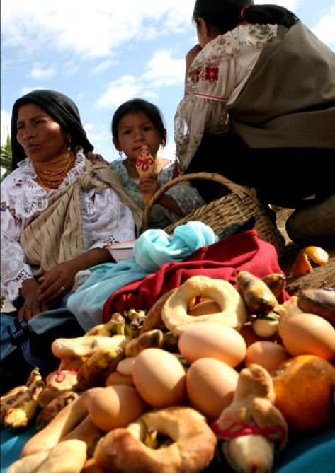 Carácter del cambio social El Ecuador es uno de los pocos países en América Latina que logra combinar acertadamente reducción de la pobreza, disminución de la desigualdad y aumento del consumo de los