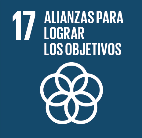 17 ALIANZAS PARA LOGRAR LOS OBJETIVOS Fortalecer los medios de ejecución y revitalizar la Alianza Mundial para el Desarrollo Sostenible Finanzas 17.