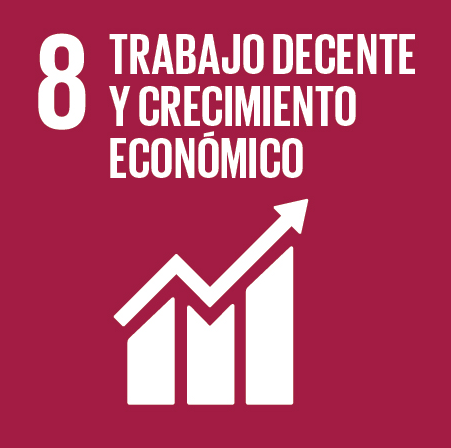 Promover el crecimiento económico sostenido, inclusivo y sostenible, el emple pleno y productivo y el trabajo decente para todos 8.
