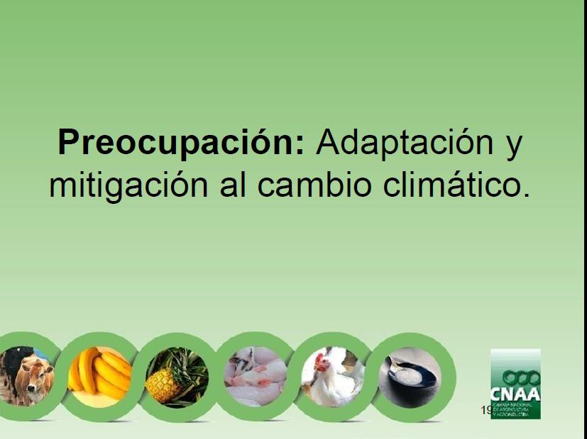 Mitigación: NAMA: Café, Ganado de Carne Adaptación: Alerta temprana Agua Tecnología Tema relacionado: El Niño 2014 Directriz a la