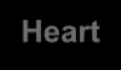 Cómo evitar las descargas inapropiadas o innecesarias? Heart Rhythm 2008;5:762-765 1.
