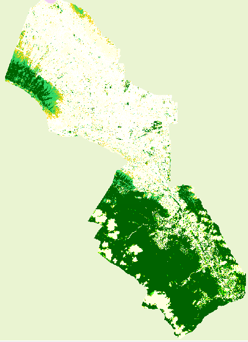 Figura 3: Resultado de la clasificación de las áreas verdes Los resultados fueron verificados de dos maneras: a) verificación en in situ de los sitos obtenidos en esta clasificación y b) verificación