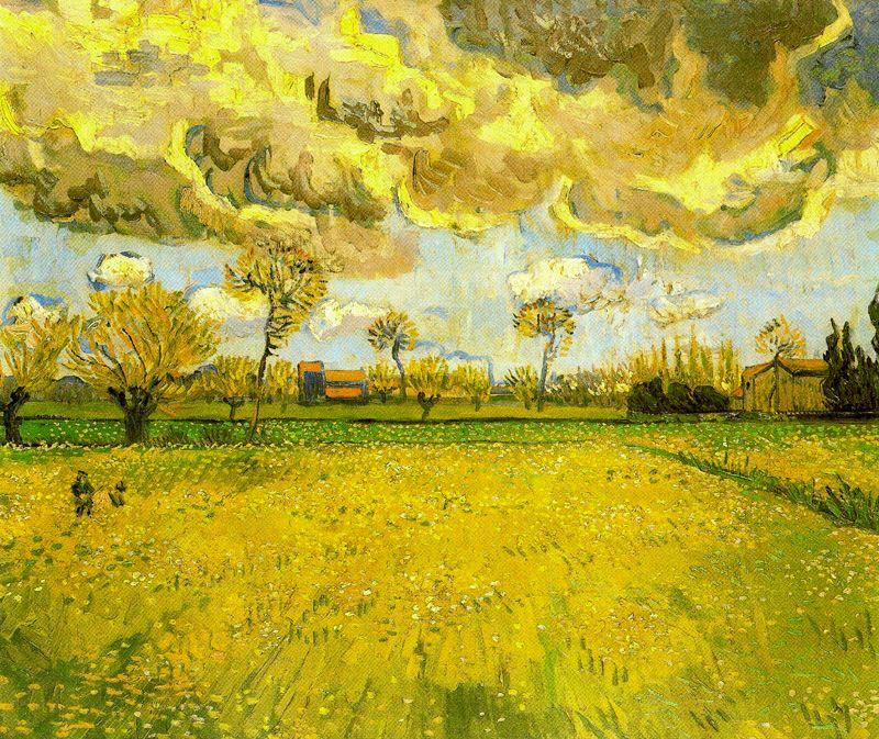 Prado con flores y cielo tormentoso. 1888.