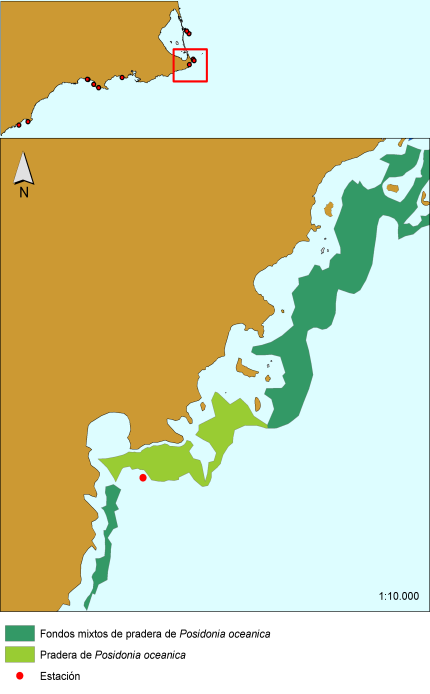 ESTACIÓN 16: CALA REONA (CABO DE PALOS, CARTAGENA) Figura 23. Localización de la estación de muestreo Isla de Cala Reona y esquema de distribución de los puntos de muestreo.