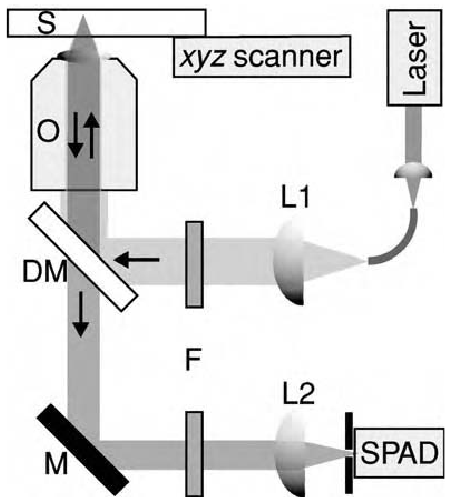 Dispositivo de microscopia confocal: armado usual Reproducido de: Principles of Nano-Optics, L. Novotny y B.