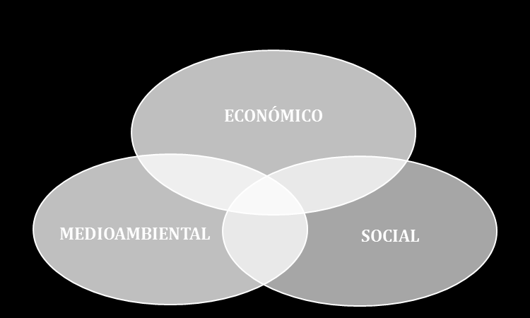 La Responsabilidad Social Corporativa (RSC) forma parte de la política estratégica de MAYASA.