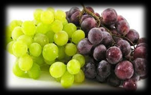 Principales sustancias activas determinadas en uva de mesa.
