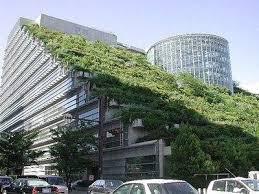FICHA 2: Techo Verde Ecológico Intensivo Son intensivos los techos que tienen una profundidad de suelo mayor a 12, es decir 30 cm [22].