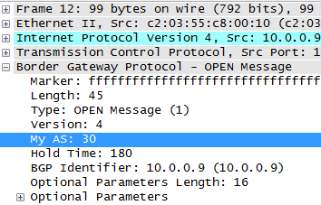 Campos importantes en un segmento BGP Bgp usa TCP como protocolo de transporte, lo cual significa que es orientado a la conexión.
