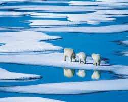 SABE USTED QUE ES EL CALENTAMIENTO GLOBAL? El calentamiento global es el aumento de la temperatura de la atmósfera terrestre y de los océanos.