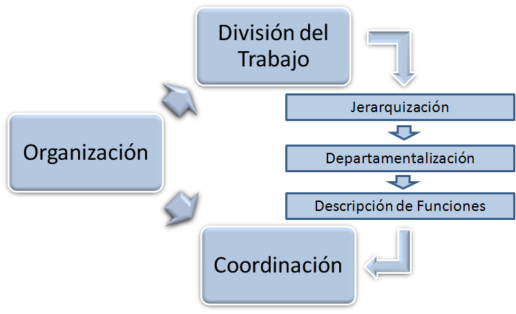primordialmente, a través de las técnicas de análisis de puestos y de la carta de distribución de actividades Coordinación: esta etapa nace con la necesidad de sincronizar y armonizar los esfuerzos