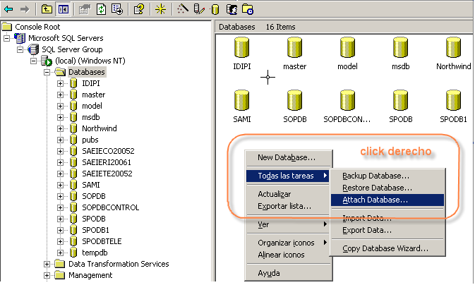 244 Ilustración 2-1 Ventana Enterprice Manager de SQL Server sección Databases.