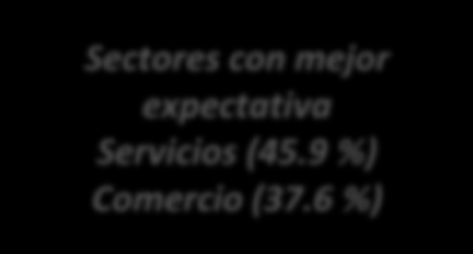 Elevada competencia del sector 4,06 Sectores con mejor expectativa Servicios (45.