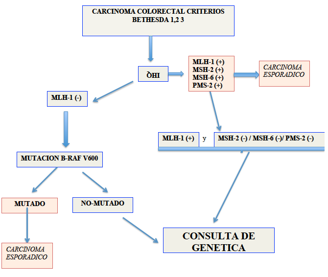 TABLA-2: ALGORITMO DE CRIBADO-AP SOBRE CARCINOMA COLORECTAL B. Sbre CARCINOMAS DE ENDOMETRIO que cumplan algun de ls siguientes criteris: 1. Pacientes de 60 añs. 2.