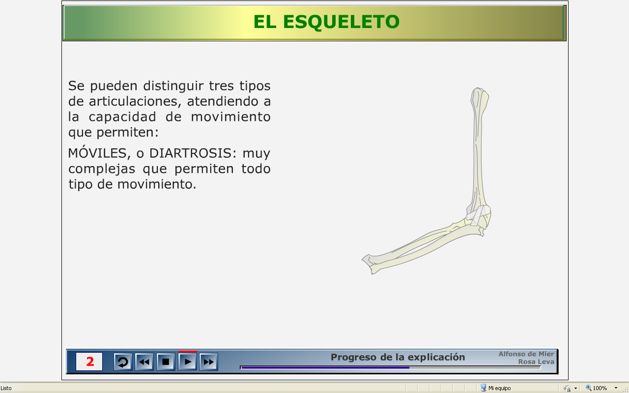 Cartílago articular: cartílago que recubre la superficie articular y que impide el rozamiento entre huesos. Ligamentos articulares: ligamentos que unen los distintos huesos de la articulación.