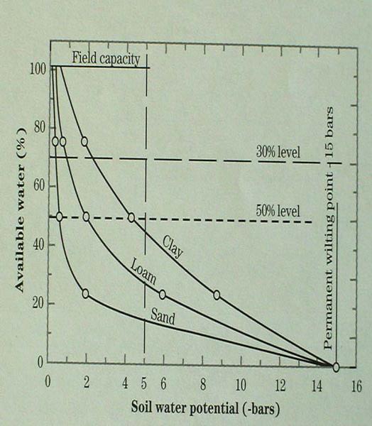 Técnicas para medir potencial hídrico en materiales vegetales Métodos Método de Volumen constante Cámara de presión Osmómetro Sicrómetros Sonda de presión Cámara de presión Un método rápido para