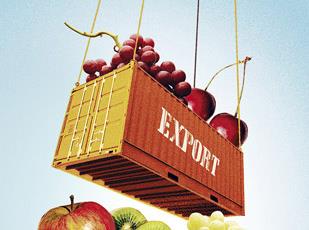 Potencial de esta integración Ejemplo: Exportación de frutas 1 SICEX DIC.