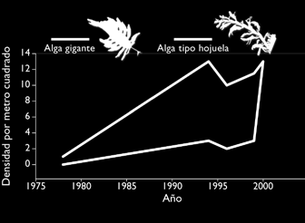 Como se muestra en el gráfico de la derecha, el incremento de la biomasa de los peces de vida larga como cirujanos (línea roja) ha sido lento, incluso después de casi 4 décadas, mientras que los