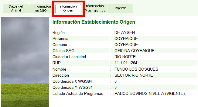 Etiqueta Información de DIIO.