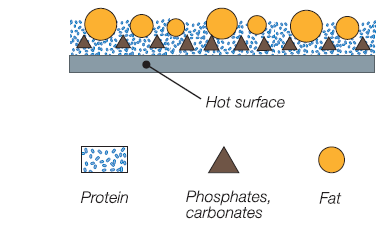 Depósitos lácteos en superficies de contacto Proteínas Grasas