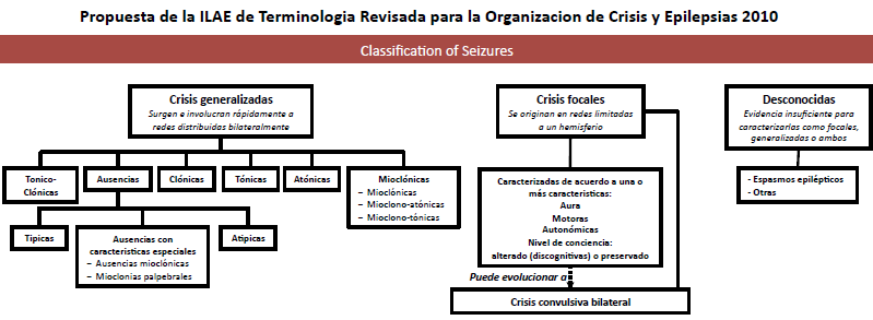 1.Berg AT et al. Revised Terminology and Concepts for Organization of Seizures and Epilepsies: report of the ILAE Commission on Classification and Terminology, 2005 2009. Epilepsia 2010;51:676-- 685.