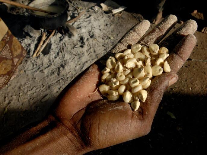 FAO/Ami Vitale 1.1. Seguridad alimentaria y cambio climático Los sectores de la agricultura del planeta se enfrentan a numerosos retos a la hora de alimentar a toda la población mundial.