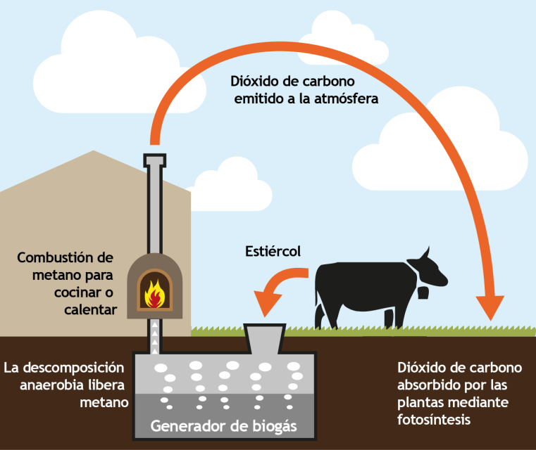 1.13.3. Ejemplo: producción de biogás a partir de estiércol En los países en desarrollo, los digestores de biogás descentralizados a pequeña escala tienen potencial para cubrir las necesidades de