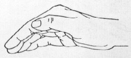 Página 7 de 13 o Colocar una mano en la base lateral del hemitórax y la otra mano en la región apical del mismo lado.
